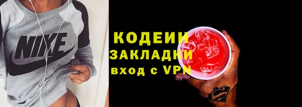 шишки Гусев