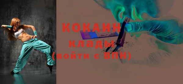 шишки Гусев