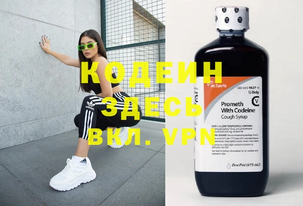 шишки Гусев