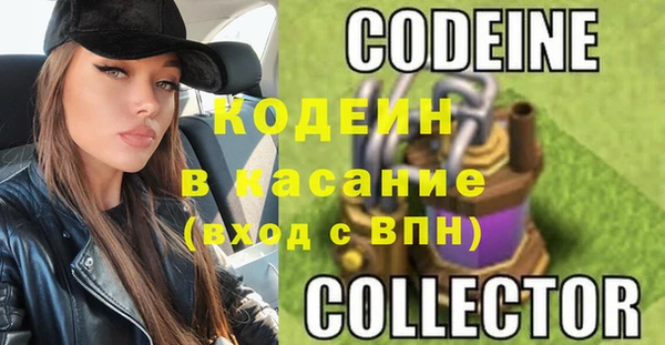 шишки Гусев