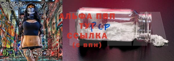 крисы Гусь-Хрустальный
