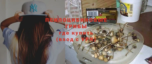 шишки Гусев