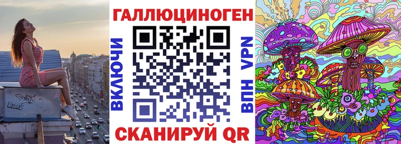 Псилоцибиновые грибы Psilocybine cubensis  Железноводск 