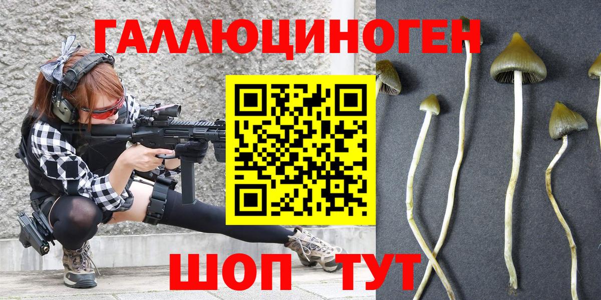 Псилоцибиновые грибы прущие грибы  Вход с VPN  Железноводск 